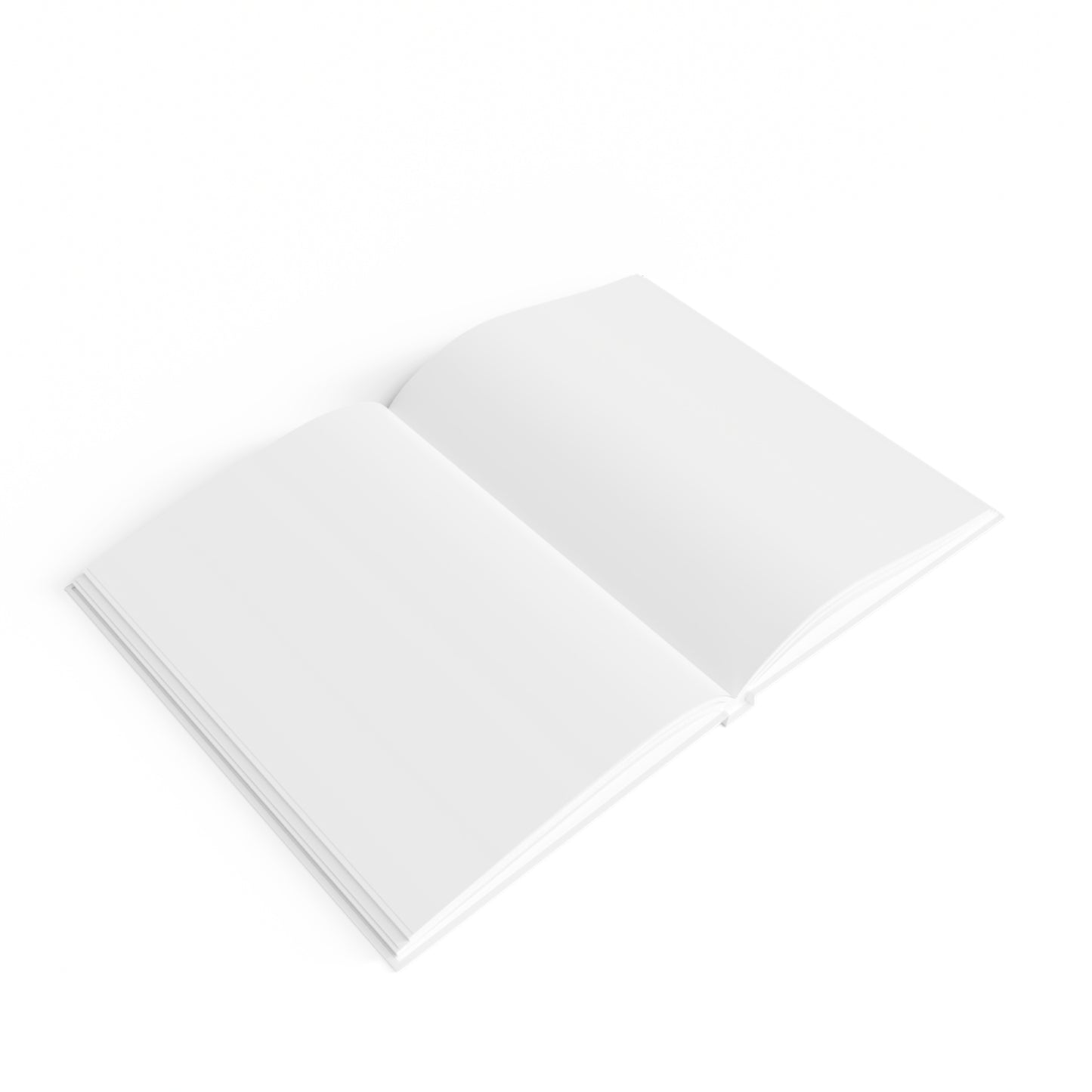 Death Note Inspired Journal